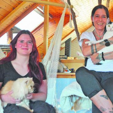 Unendlich viel Tierliebe - Von Katzen umgeben fühlen sie sich wohl. Täglich kümmern sich Ronja Frauenfelder (links) und Sandra Fritschi um die Tiere. Bild: Annemarie Keusch
