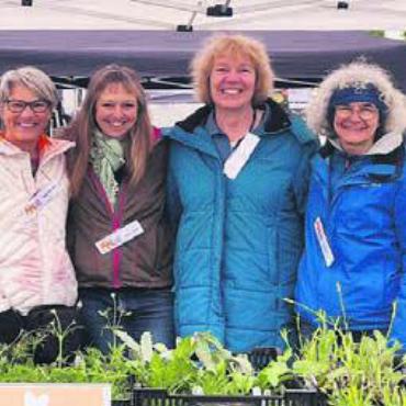 Für Schmetterlinge und Wildbienen - Sie informieren und beraten zugunsten «Natur findet Stadt» (v. l.): Margrit Haller, Beatrice Beer, Esther Clausen und Christina Cotti. Bild: zg