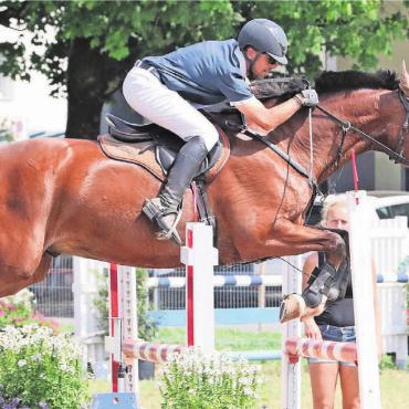 Freiamt wird zur Reiterhochburg - Bald springen die Pferde wieder über Hindernisse. Die Wohler Springkonkurrenz steht bevor. Eine Woche vorher kann man in Bremgarten Dressurreiten bestaunen. Bild: Archiv