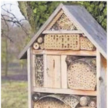 «Wir schaffen Unterschlupf» - Beim Kurs kann auch ein kleines Bienenhotel gebastelt werden. Bild: zg