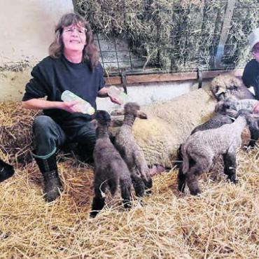 Der ganze Stolz der Zügers - Züchterin Gisela Züger und Roman Nick, der immer wieder auf der Züger-Farm aushilft. Mittlerweile sind die Sechslinge gewachsen.