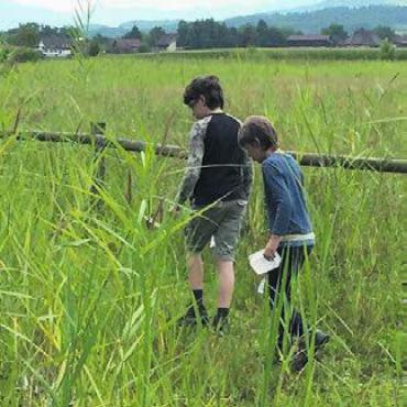 Heimliche Bewohner von Tümpeln und Teichen - Kinder und Erwachsene erleben Spannendes in der Natur. Bild: zg