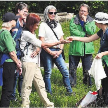 Von Binsen und Amphibien - Wenn man mit offenen Augen die Stille Reuss entlanggeht, kann man das Wunder Natur hautnah erleben. Bild: Monica Rast
