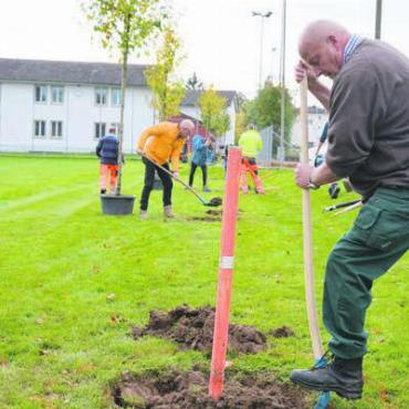 Mehr Schatten in der Zukunft - Jedes Gemeinderatsmitglied schaufelte das Loch für seinen Baum selber.