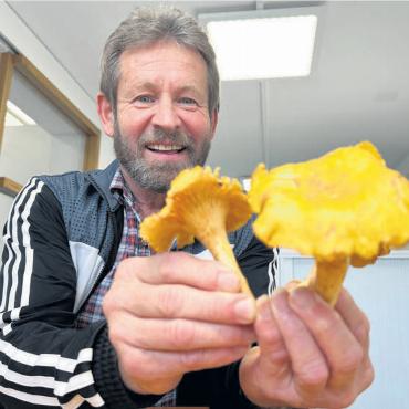 Lüthy und der Riesenpilz - Werner Lüthy und die riesigen Eierschwämme aus dem Wohler Wald. Bild: spr
