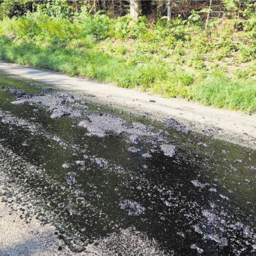 Belag «schwitzt», Strasse zu - Durch die vermehrte Sonneneinstrahlung (nach der Holzung im Winter) begann die Strasse zu «schwitzen». Bild: zg