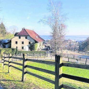 Einbiegen auf Zielgerade - Der letzte Zankapfel: Soll der Lindenhof in Hilfikon weiter unter Schutz bleiben? Darüber gehen die Meinungen auseinander.