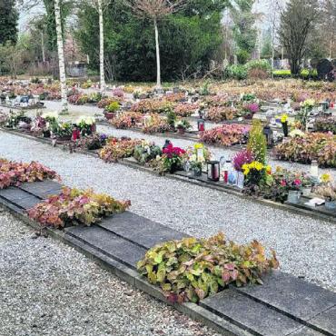 Damit der Platz auch künftig reicht - Die 2017 erstellten Urnenplattengräber sind beliebt, es gibt nur noch wenige freie, wie man auf dem Bild erkennen kann. Auf der Wiese im Hintergrund sollen weitere gebaut werden. Bild: chh