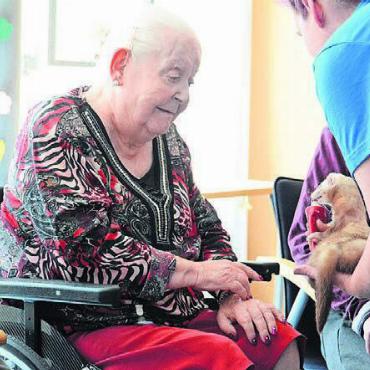 Lächeln ins Gesicht zaubern - Der Besuch der Tiere löst bei den Bewohnern und Bewohnerinnen viele Emotionen aus und weckt so manche verloren geglaubte Erinnerung.