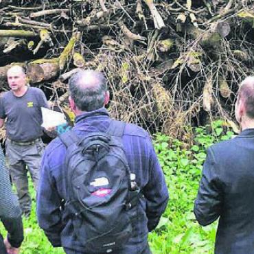 Samt Tour durch den Wald - Förster Oliver Eichenberger wusste viel Spannendes über den Wald zu erzählen. Bild: zg