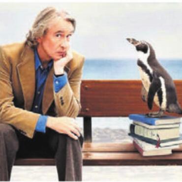 Ganz spezielles Dream-Team - Ein Pinguin bringt das Leben von Lehrer Tom Michell durcheinander. Bild: pd