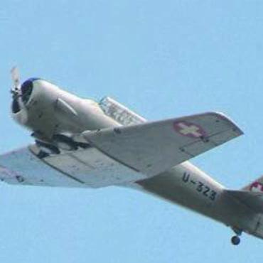 Kampfjets, Kavallerie und Kanonen - Ein Höhepunkt der Feierlichkeiten war der Überflug einer AT-16.