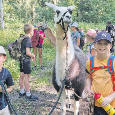 Zwei neue Phänomene - Der Ferienpass bot Kindern und Jugendlichen viele spannende Momente – wie etwa hier beim Lamatrekking. Bilder: zg / Roger Wetli