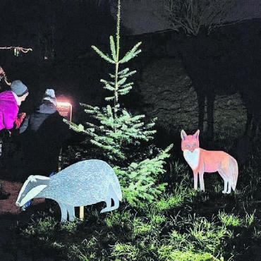 Die perfekte Einstimmung - Die Besucher begegnen auf dem Lichterweg verschiedenen Waldtieren. Bilder: ake