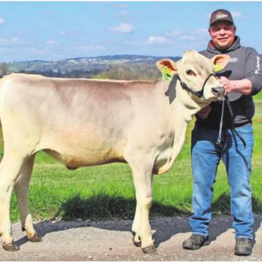 Wer holt sich Sissi? - Siegerpreis Kalb «Sissi» mit Züchter Michael Lang aus Aristau. Bild: Adrian Stump