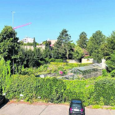 «Eine blanke Unverschämtheit» - Die Sicht von der künftigen Baustelle aus auf das Anwesen der Villa Isler. Im Blickfeld der Garten und diverse geschützte Bäume.