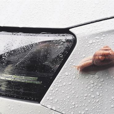So vielseitig wie das Wetter - Sonntag, 7. Juli, 9.43 Uhr. In der Schweiz ist es regnerisch – wie viel zu oft in diesem Jahr. Hans Peter Urech aus Villmergen schreibt zum Bild: «Sommer 2024. Ferienbeginn. Ich will auch mitkommen.» Das Wetter war so mies, dass selbst die Schnecke flüchten will.