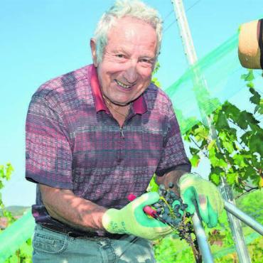 Das bleibt in Erinnerung - 11. September: Vier Freunde aus Niederwil haben das Projekt Rebberg gestartet. Nach drei Jahren Pfl ege konnte man nun eine Teilernte vornehmen.