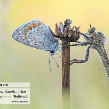 LESERFOTO