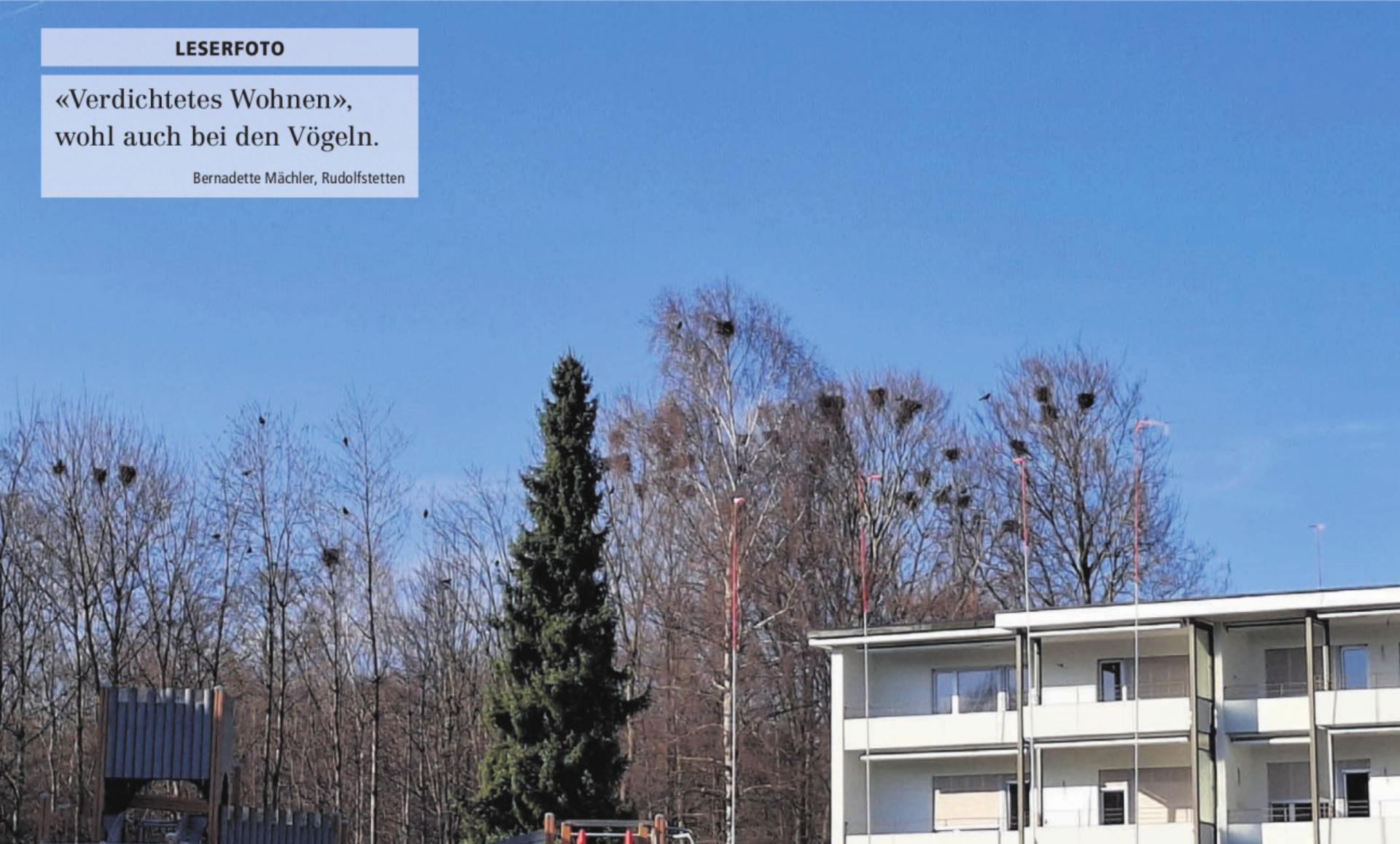  - Das Bild wird blockiert. – Möglicherweise durch einen aktiven Adblocker.