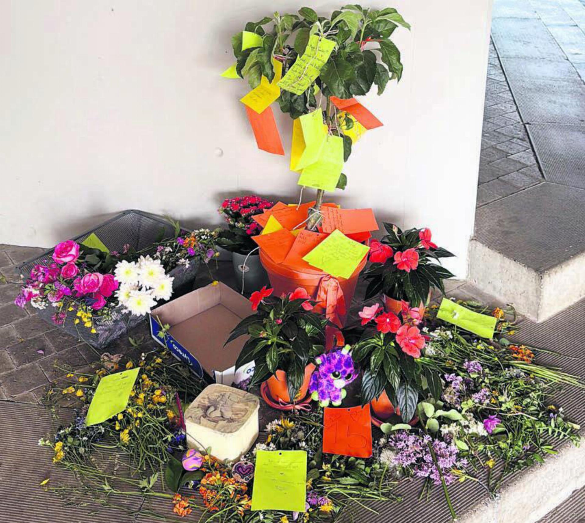 Die Primarschule Rudolfstetten will die emotionalen Themen, welche das Tötungsdelikt mit sich bringt, bestmöglich auffangen. Unter anderem wird den Schülerinnen und Schülern ein Platz zum Trauern gegeben. 
Bild: zg