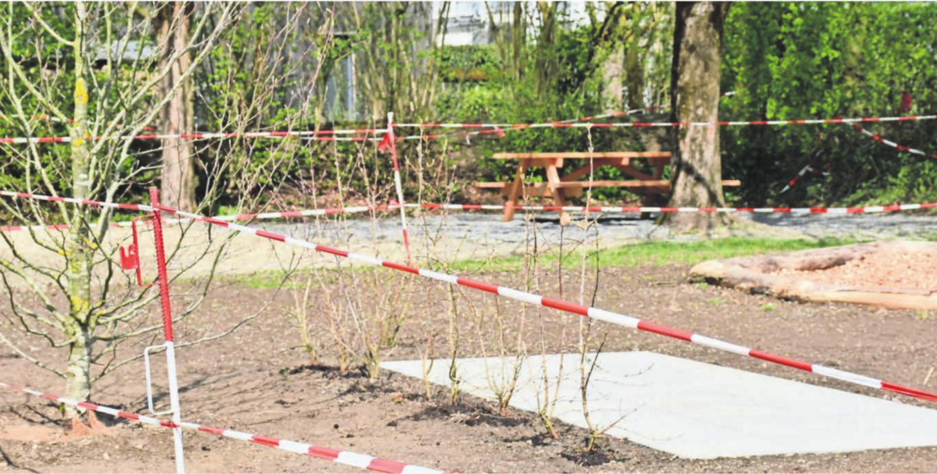 Der Spielplatz Anglikon erhielt mit Sitzbank und Sträuchern eine neue Gestaltung. Sträucher, die bei Eltern Angst auslösten, wurden bereits wieder ersetzt. Bild: Monica Rast - Das Bild wird blockiert. – Möglicherweise durch einen aktiven Adblocker.