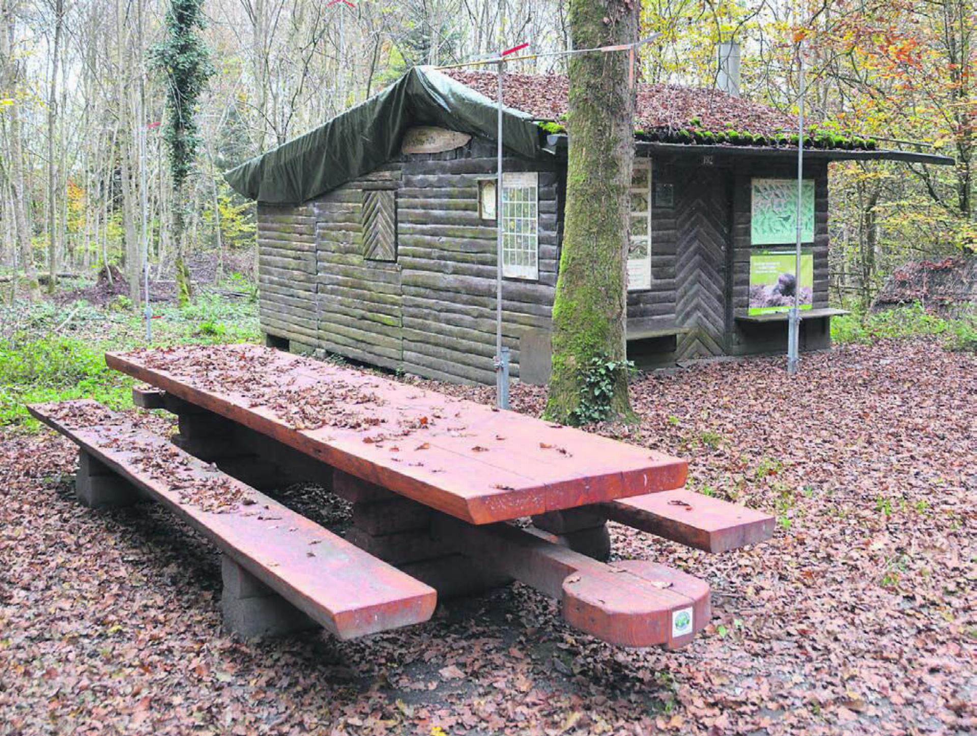 Die heutige Waldhütte ist stark verwittert. Sie soll schon bald einem Ersatzneubau weichen. Der Baum in der Mitte wird gefällt und etwas versetzt ein neuer gepflanzt. Bild: Roger Wetli