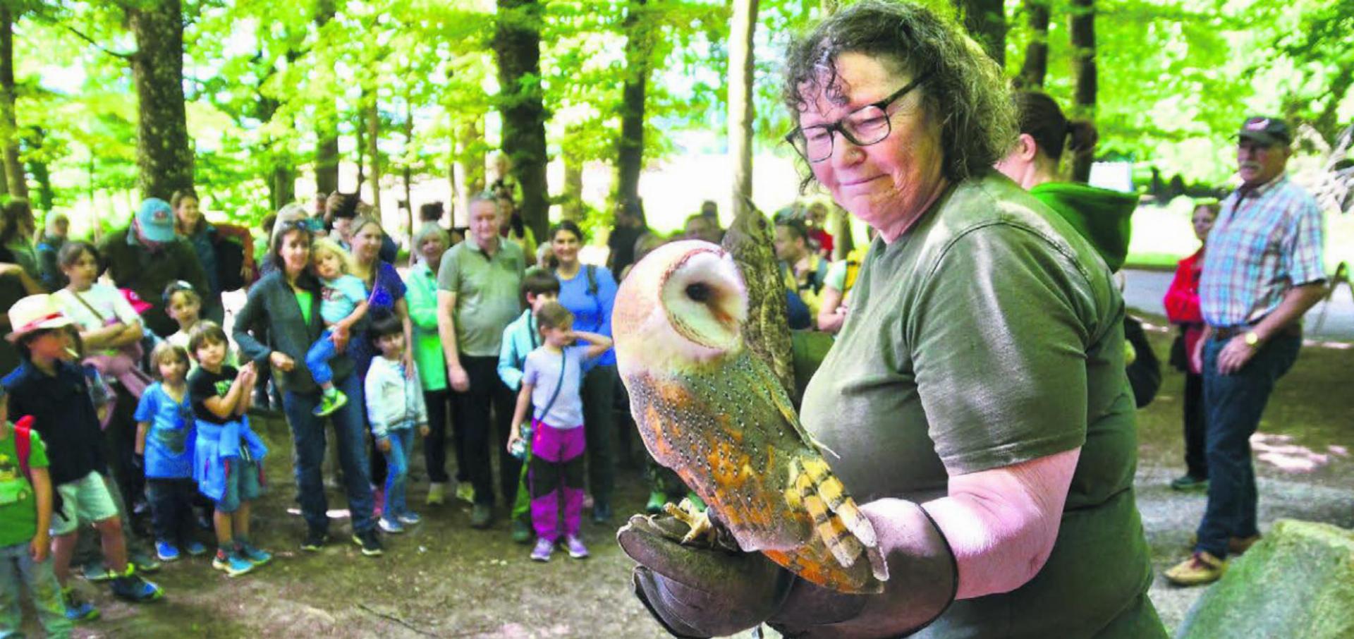 Faszination Eulen auf dem Sagenweg. Gabriela Hediger mit Schleiereule Loki. Bilder: Thomas Stöckli