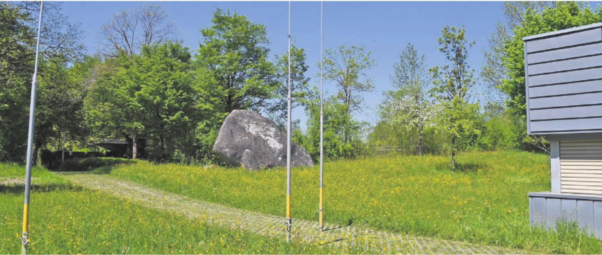 Standort Bünzmatt: Dieser ist von den bestehenden Schulhäusern (im Hintergrund) und von der Allmendstrasse her zugänglich. Bilder: Daniel Marti - Das Bild wird blockiert. – Möglicherweise durch einen aktiven Adblocker.