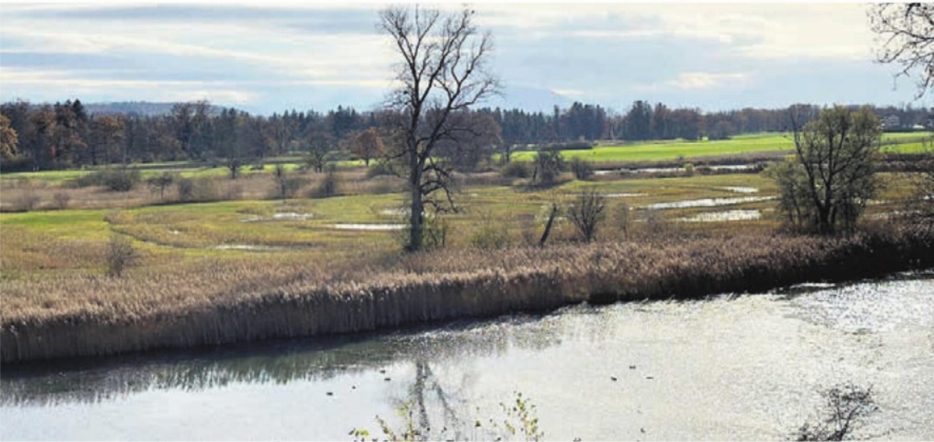 Ein Blick in das Kulturlandschaftserbe im Reusstal. Bild: zg - Das Bild wird blockiert. – Möglicherweise durch einen aktiven Adblocker.