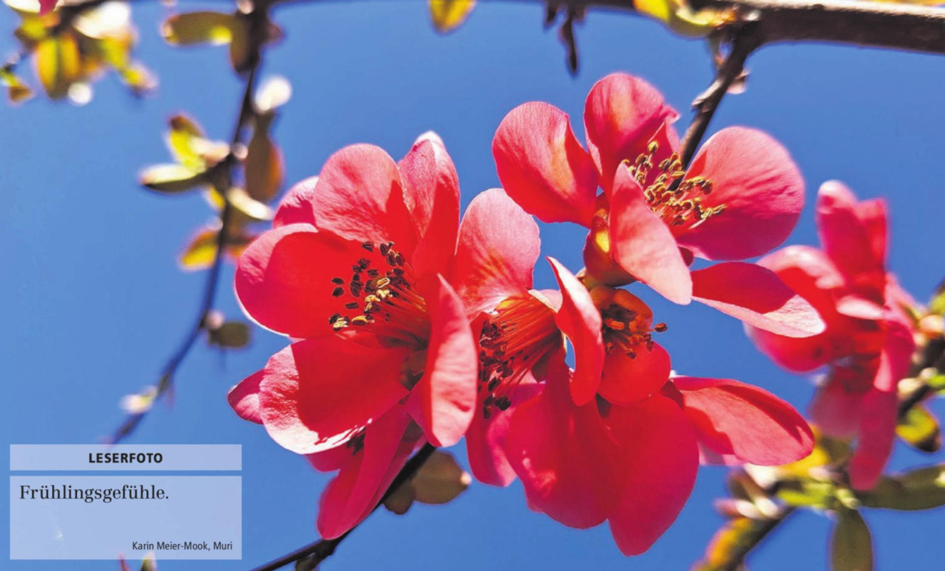  - Das Bild wird blockiert. – Möglicherweise durch einen aktiven Adblocker.