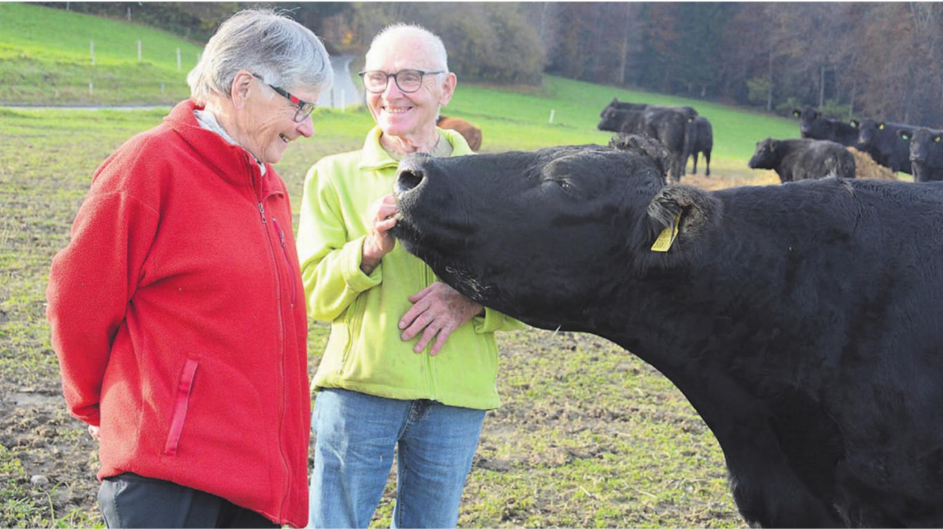 Hans und Rösli Vock verbringen den Sommer mit den Rindern auf der Alp. Auch jetzt im Winter schauen sie regelmässig bei den Tieren vorbei. Bilder: Chregi Hansen / zg - Das Bild wird blockiert. – Möglicherweise durch einen aktiven Adblocker.