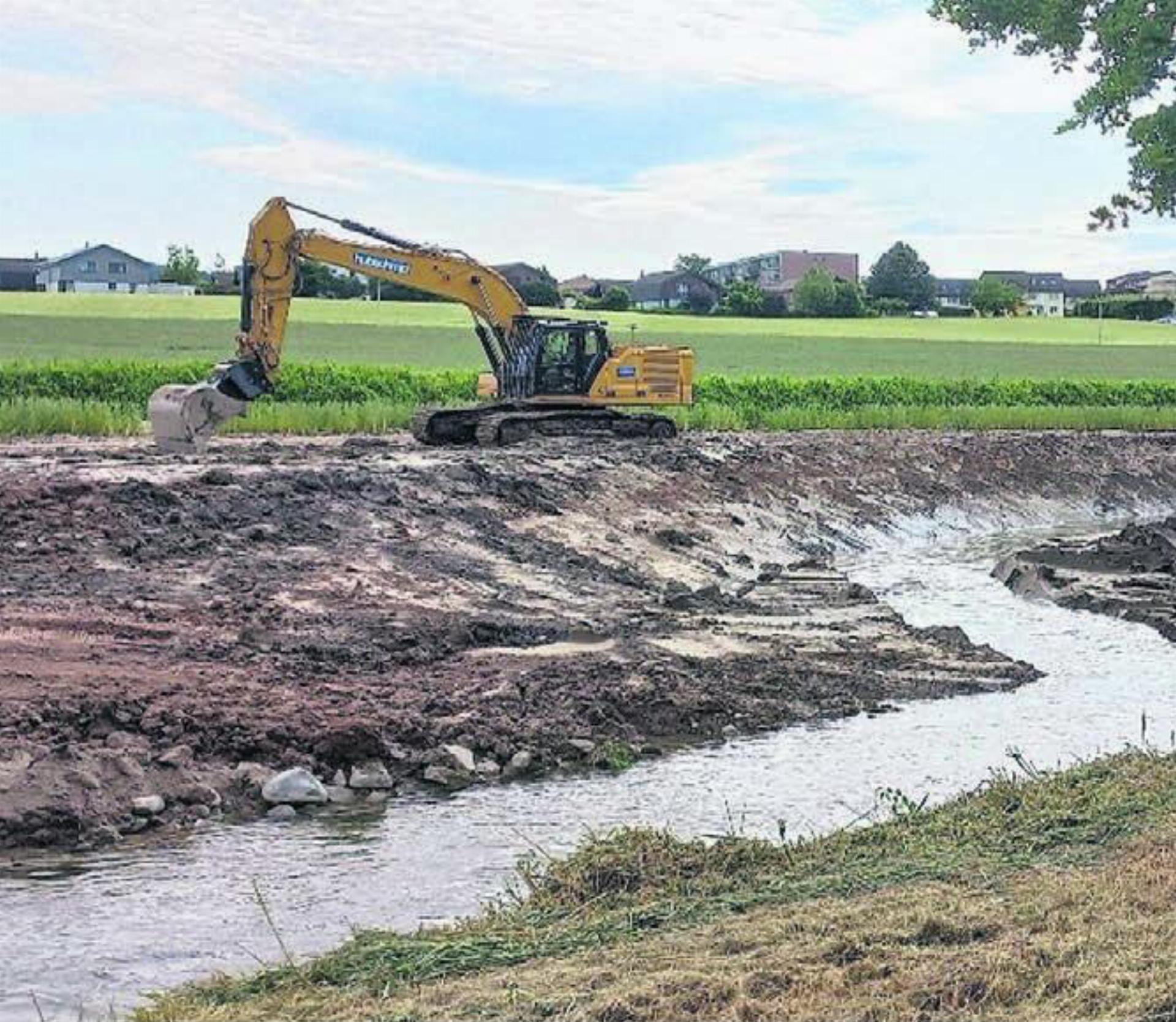 Die Baumaschinen beginnen nach dem Abfischen mit der Revitalisierung. Bild: gk