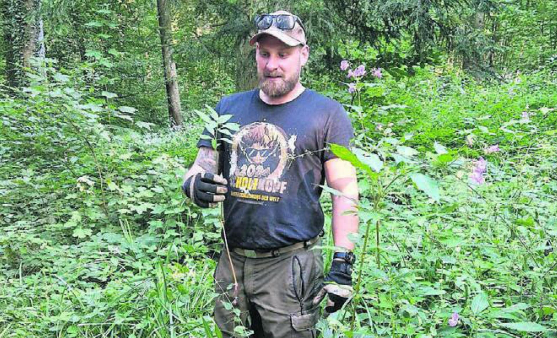 Den Neophyten im Wald soll es an den Kragen gehen, dafür ist wie beim ersten Mal wieder Unterstützung gefragt. Bild: zg