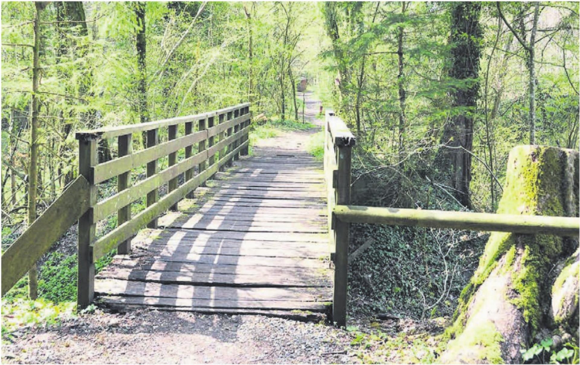Im Waldstück zwischen Fischbach-Göslikon und Wohlen gibt es immer noch Zeitzeugen der projektierten «30er-Strasse», wie diese Brücke, die inzwischen von der Gemeinde Fischbach-Göslikon saniert wurde. Bild: Archiv - Das Bild wird blockiert. – Möglicherweise durch einen aktiven Adblocker.