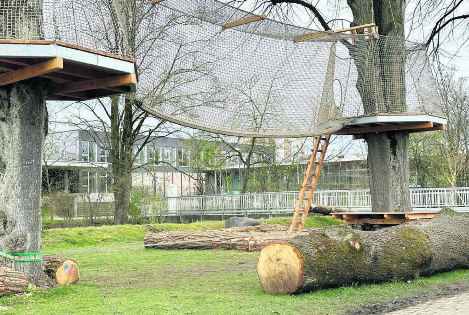 Krebsliga Aargau und Naturama steuerten einen Beitrag bei: Der neue Spielplatz beim Schulhaus Junkholz wird am Mittwoch feierlich eröffnet. Bild: spr