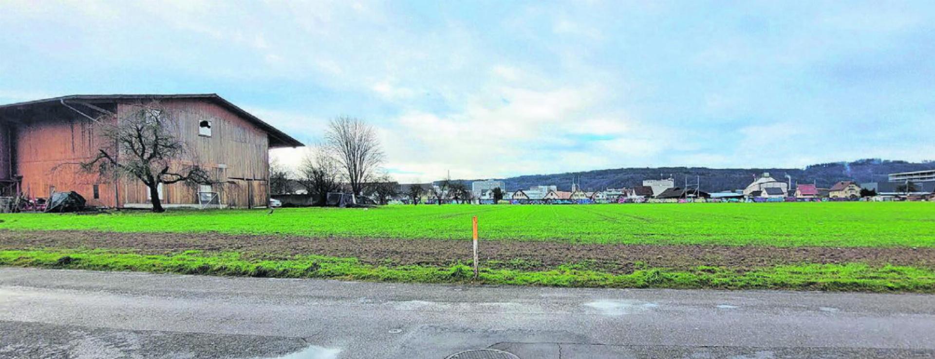 Im Gebiet Wil/Huebächer will die Gemeinde Wohlen 6760 Quadratmeter Land kaufen, das in der Gewerbezone liegt. Bild: chh