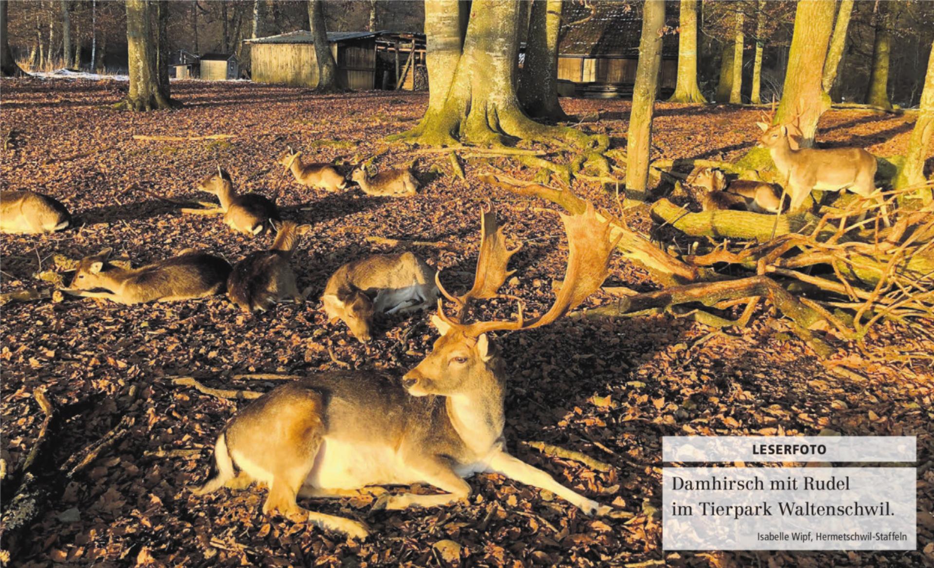  - Das Bild wird blockiert. – Möglicherweise durch einen aktiven Adblocker.