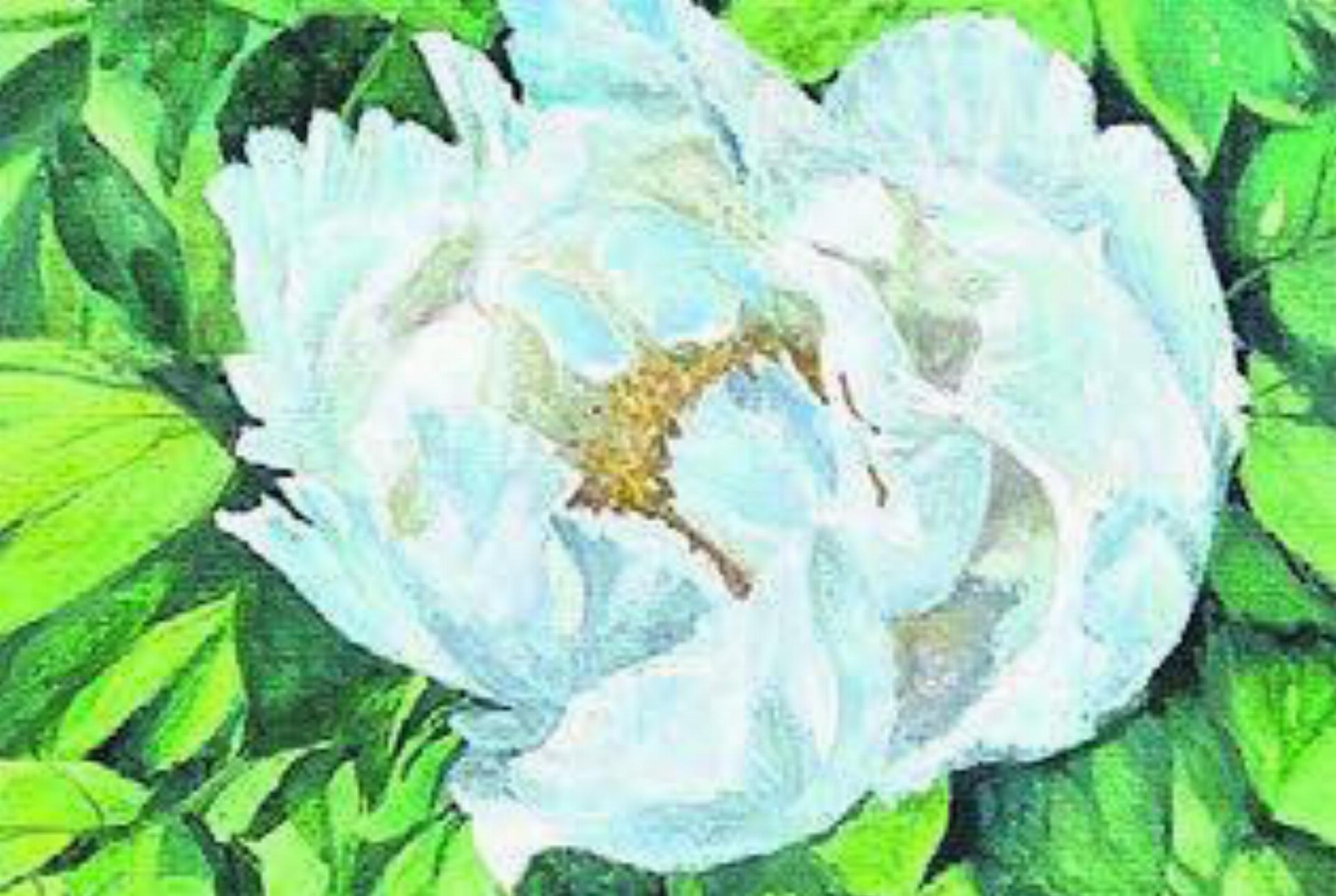 Prächtige Blumenbilder, gemalt von Kateryna Pochnyoks. Bild: zg