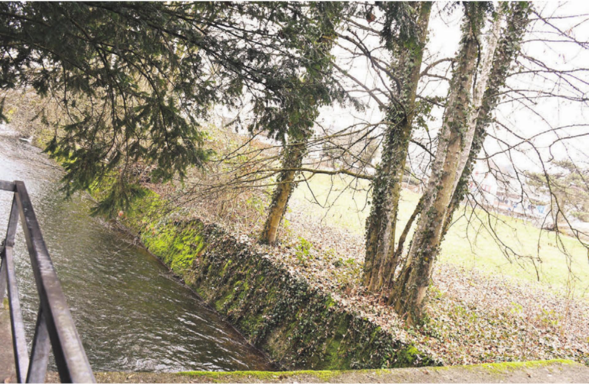 Ein Anliegen des Vereins «Schöner Wohlen»: Entlang der Bünz soll der Gewässerraum künftig auf einer Breite von 25 Metern geschützt werden (wie hier beim Isler-Areal). Bild: dm - Das Bild wird blockiert. – Möglicherweise durch einen aktiven Adblocker.