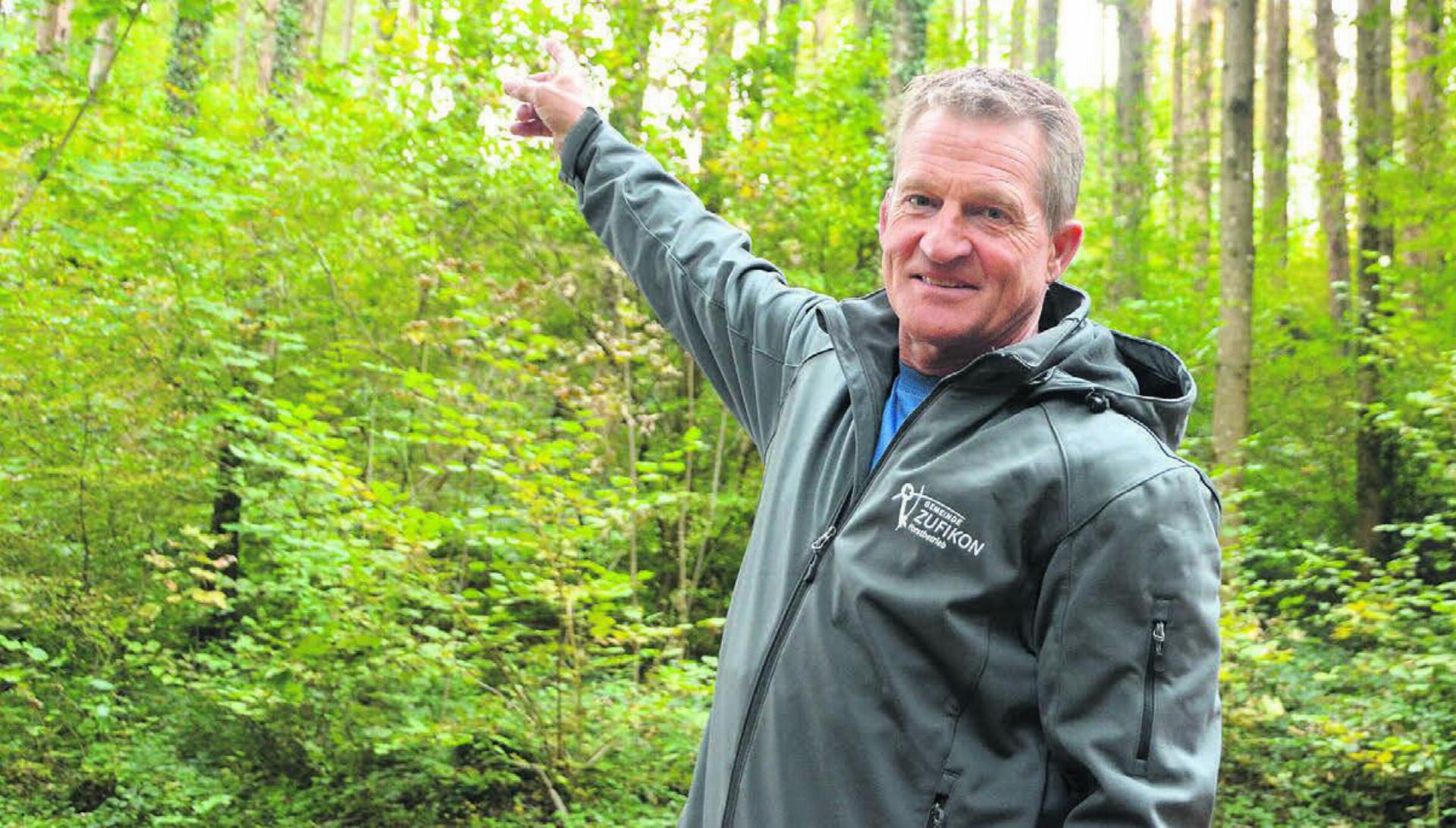 Förster Urs Huber leitet sowohl den Forstbetrieb Zufikon als auch 
denjenigen im Kelleramt. Für «seinen» Wald setzt er sich sehr stark ein.
Bild: Archiv/rwi - Das Bild wird blockiert. – Möglicherweise durch einen aktiven Adblocker.