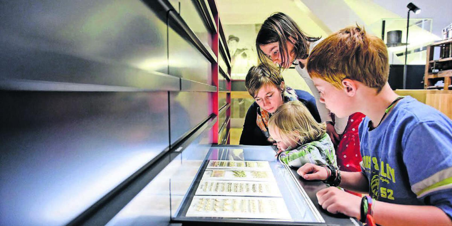 Besonders empfehlenswert und viel besucht ist 
das Schweizer Strohmuseum, das auf anschauliche Weise die Geschichte der Strohindustrie vermittelt, die Wohlen einst international bekannt machte.
Bild: Felix Wey - Das Bild wird blockiert. – Möglicherweise durch einen aktiven Adblocker.