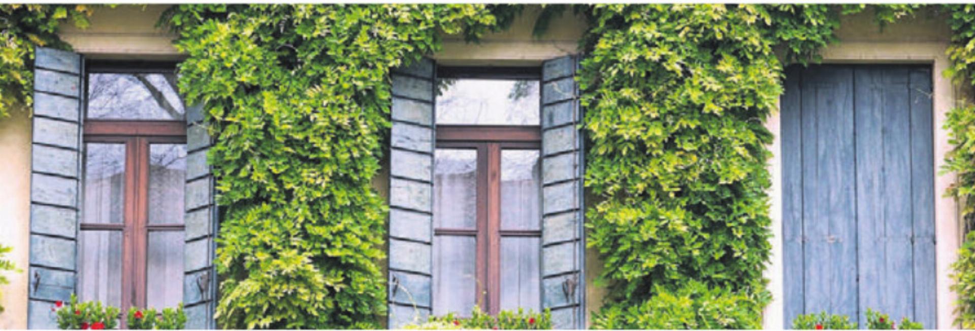 Begrünte Fassaden verbessern unter anderem die Umweltqualität. Bild: zg - Das Bild wird blockiert. – Möglicherweise durch einen aktiven Adblocker.