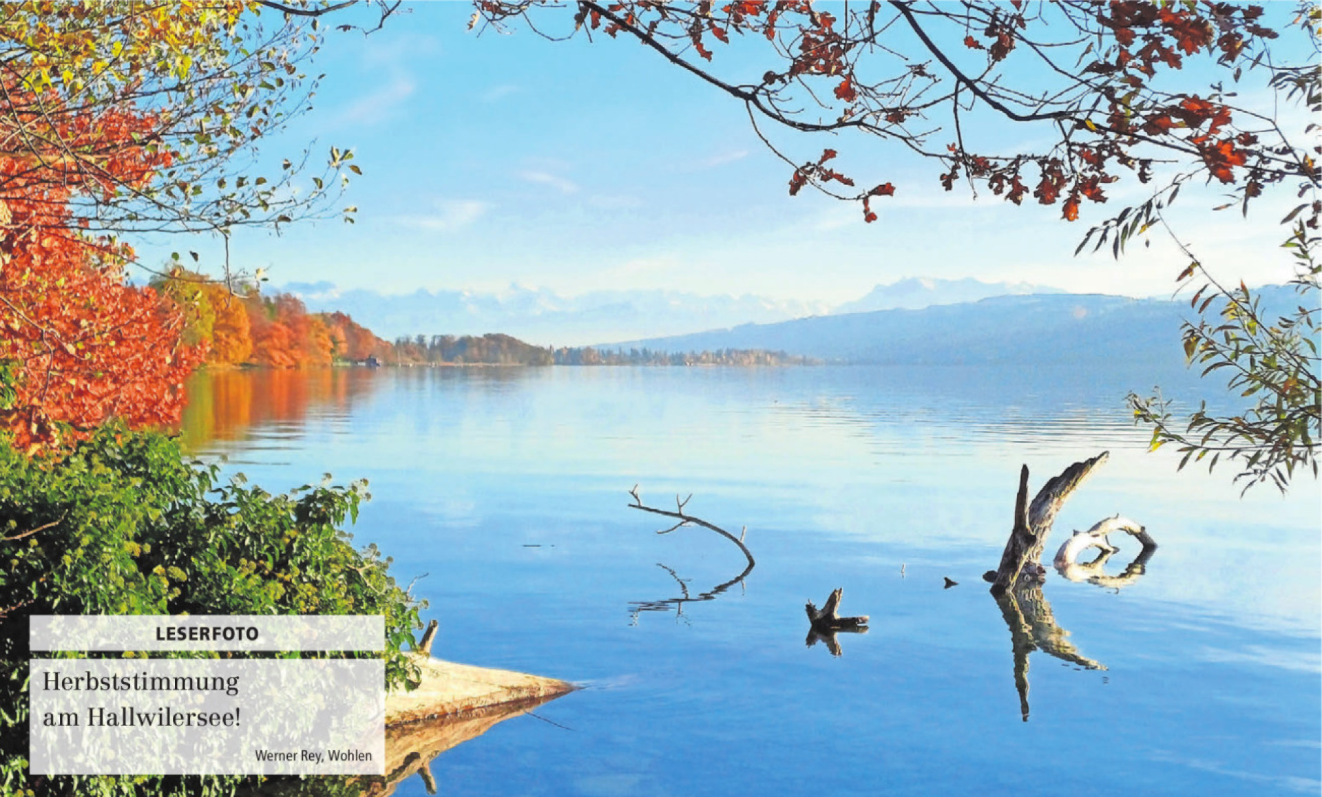  - Das Bild wird blockiert. – Möglicherweise durch einen aktiven Adblocker.