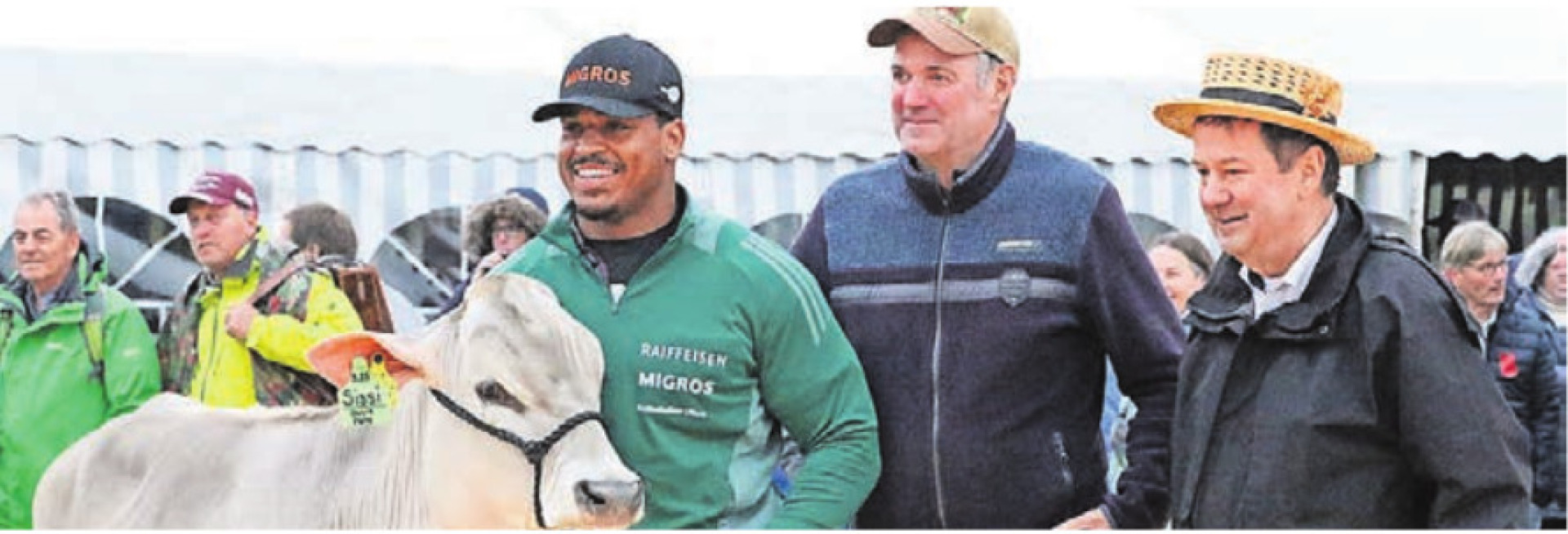  - Das Bild wird blockiert. – Möglicherweise durch einen aktiven Adblocker.