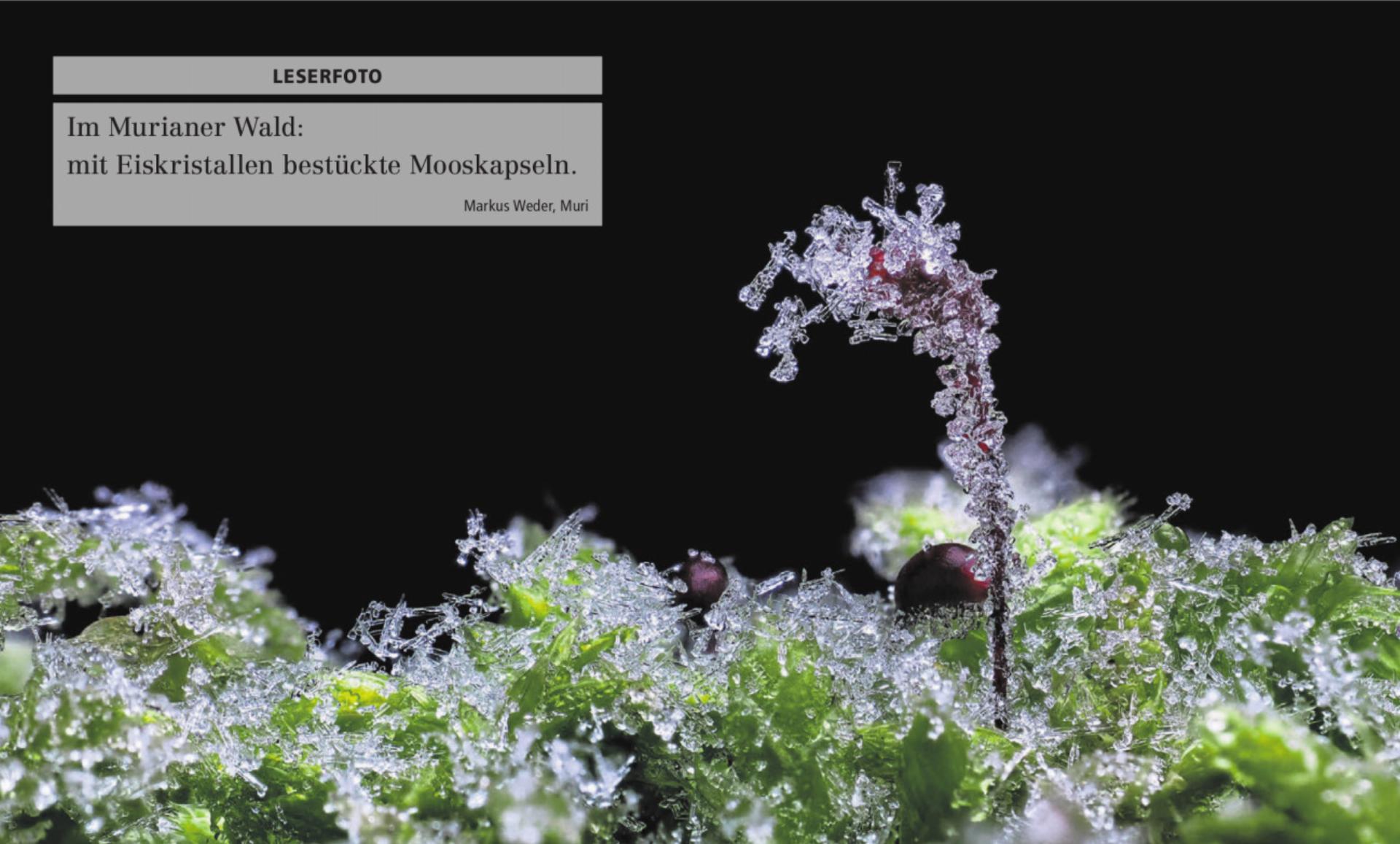  - Das Bild wird blockiert. – Möglicherweise durch einen aktiven Adblocker.