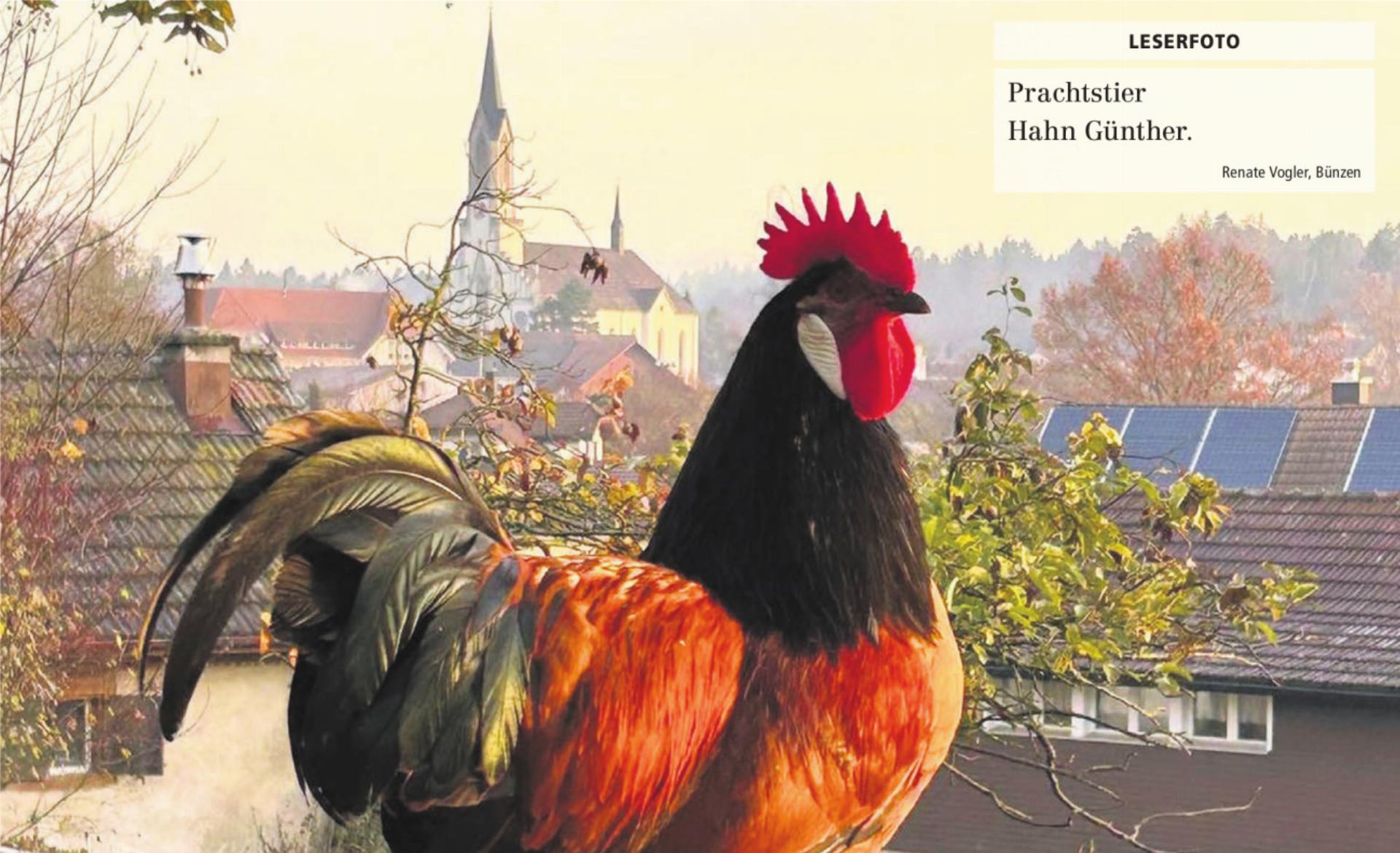  - Das Bild wird blockiert. – Möglicherweise durch einen aktiven Adblocker.