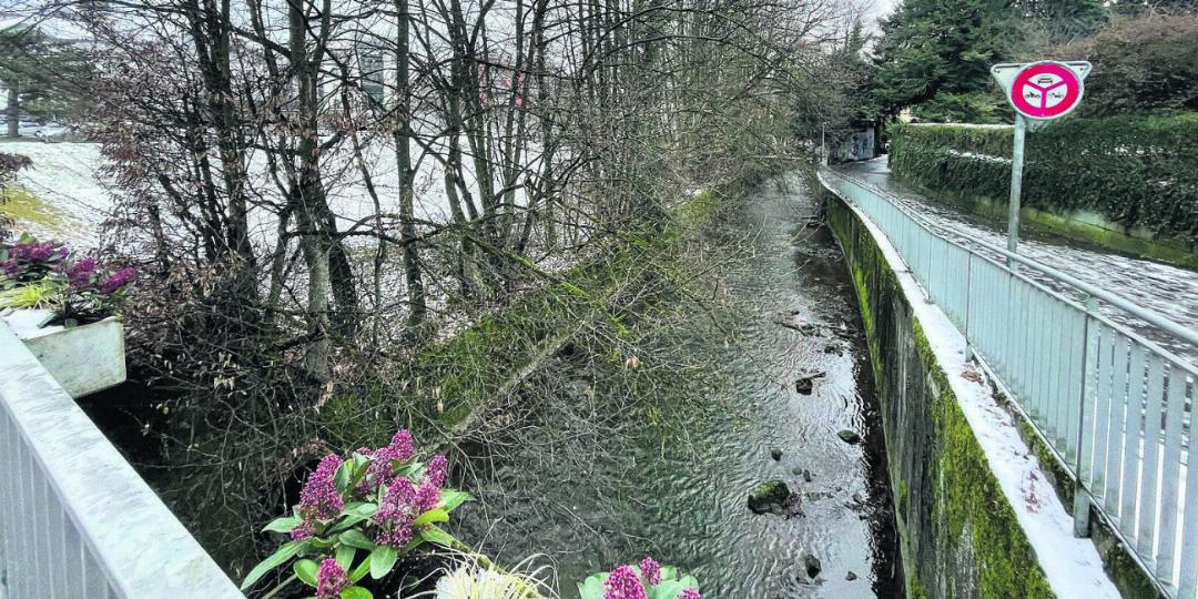 Der Verein «Schöner Wohlen» will sich gegen eine verheerende Entwicklung wehren: Per Petition will der Verein die Bünz schützen, und speziell beim Isler-Areal soll ein 25 Meter breiter Streifen den Gewässerraum darstellen. Bild: jl Der Verein «Schöner Wohlen» will sich gegen eine verheerende Entwicklung wehren: Per Petition will der Verein die Bünz schützen, und speziell beim Isler-Areal soll ein 25 Meter breiter Streifen den Gewässerraum darstellen. Bild: jl