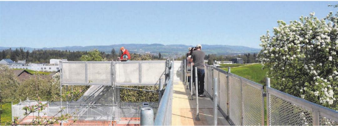 Einmaliger Ausblick auf die Bäume und auf die Region auf dem Baumkronenpfad. Bilder: Annemarie Keusch Einmaliger Ausblick auf die Bäume und auf die Region auf dem Baumkronenpfad. Bilder: Annemarie Keusch