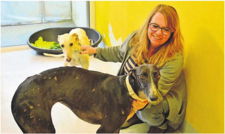 Sarah Hegi ist Vizepräsidentin des Vereins New Graceland in Waltenschwil. Bild: ake